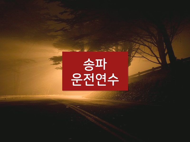 송파운전연수 후기