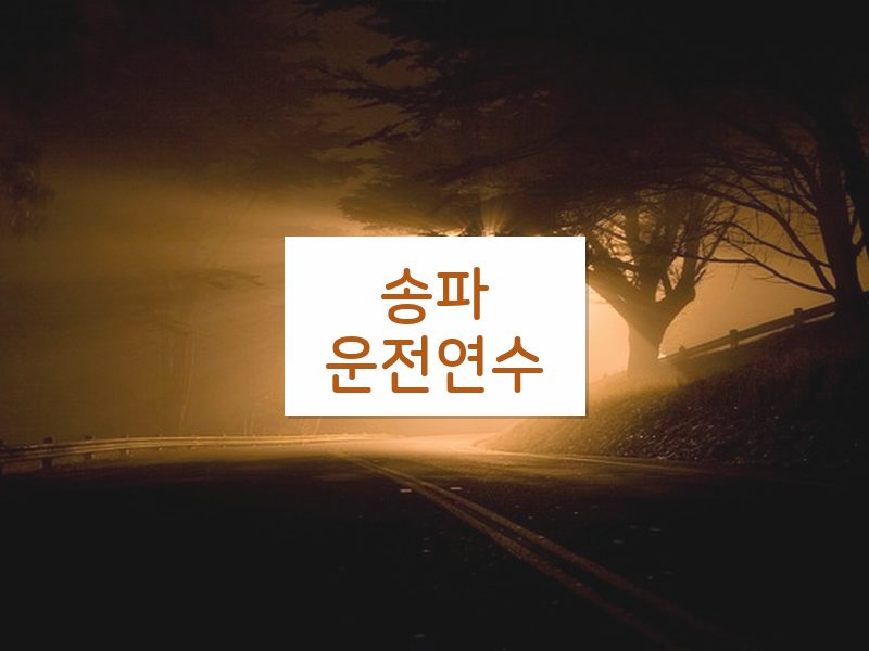 송파운전연수 후기