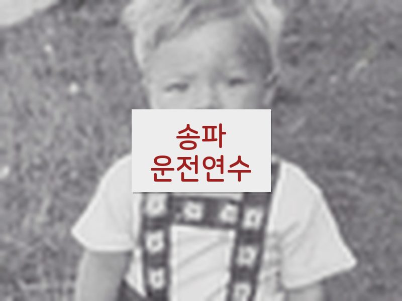 송파운전연수 후기