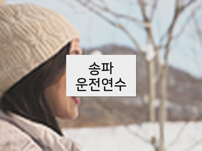 송파운전연수 후기