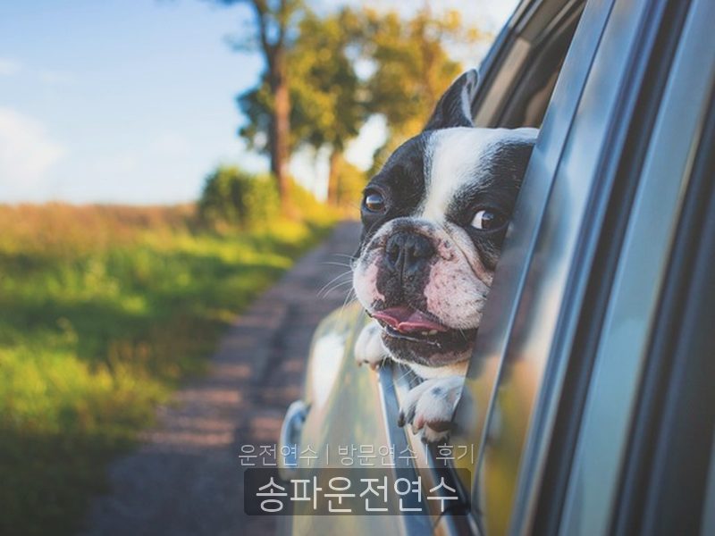 송파운전연수 후기