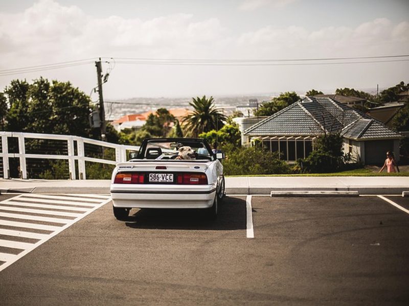 운전연수 후기