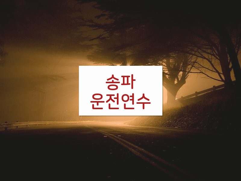 송파운전연수 후기