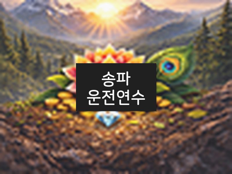 송파운전연수 후기