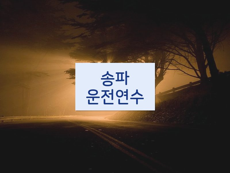 송파운전연수 후기