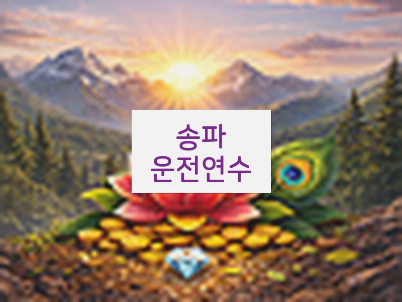 송파운전연수 후기