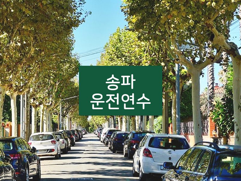 송파운전연수 후기
