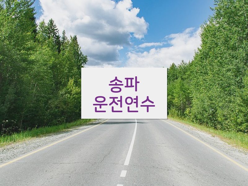 송파운전연수 후기