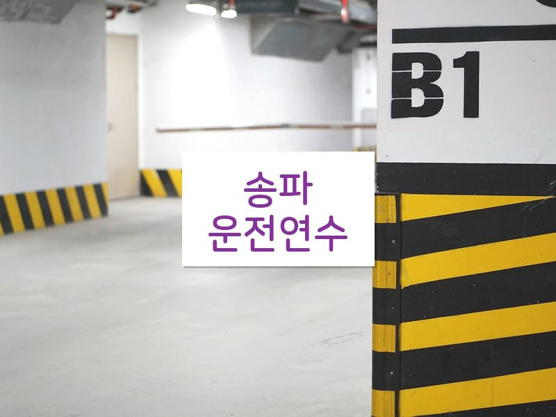 송파운전연수 후기