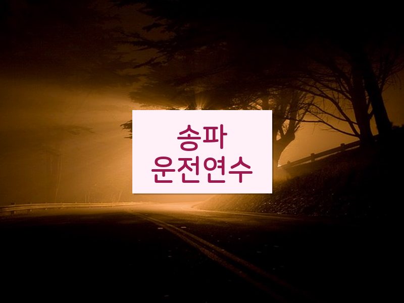송파운전연수 후기