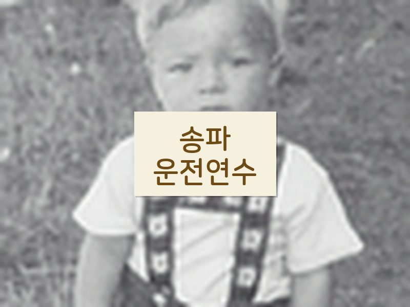 송파운전연수 후기