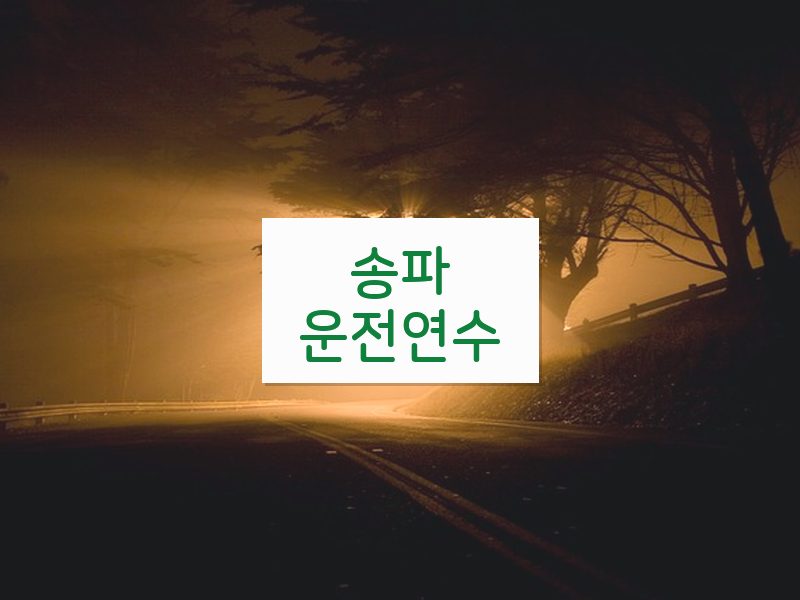 송파운전연수 후기