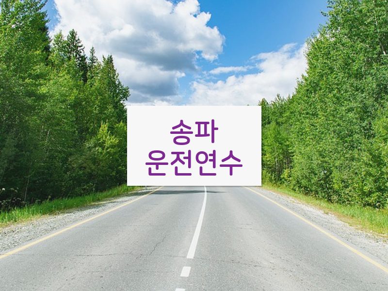 송파운전연수 후기
