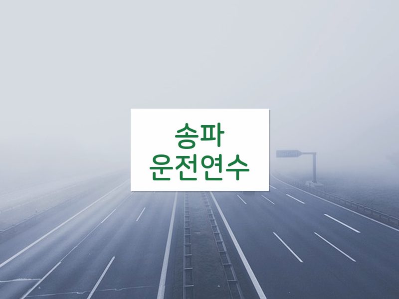 송파운전연수 후기