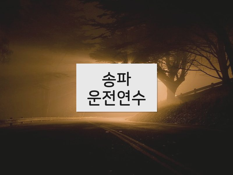 송파운전연수 후기