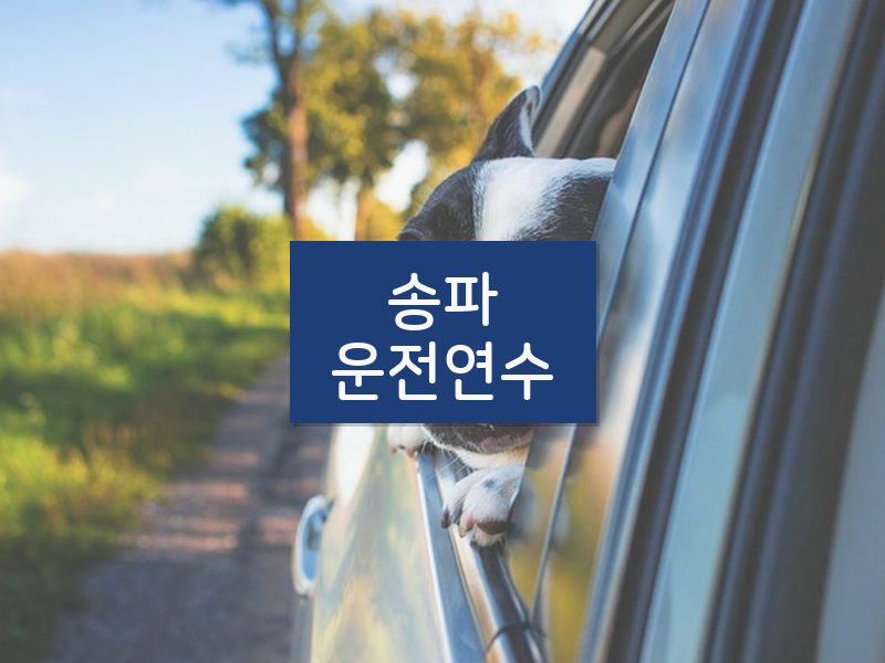 송파운전연수 후기