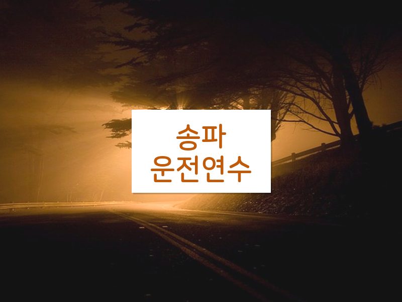 송파운전연수 후기