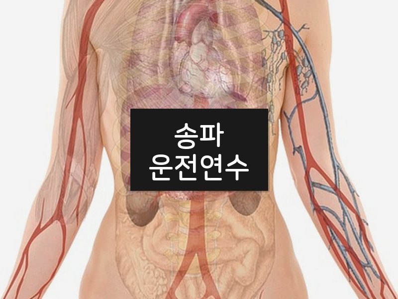 송파운전연수 후기