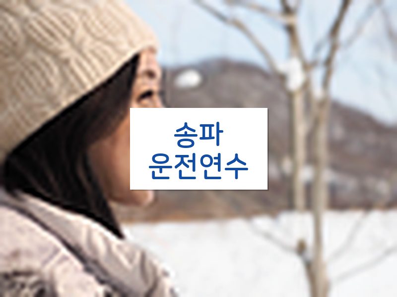송파운전연수 후기