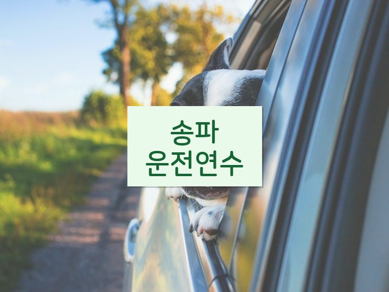송파운전연수 후기