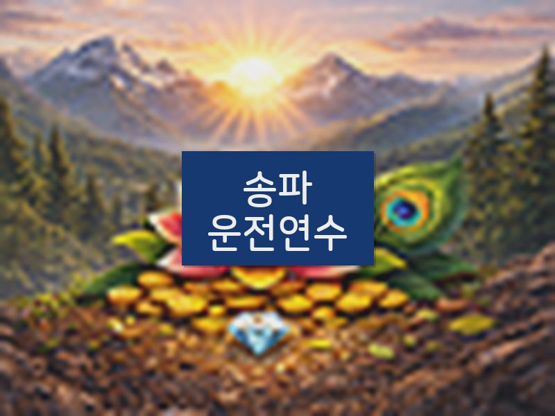 송파운전연수 후기