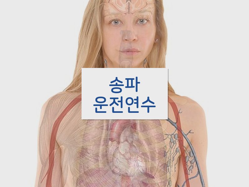 송파운전연수 후기