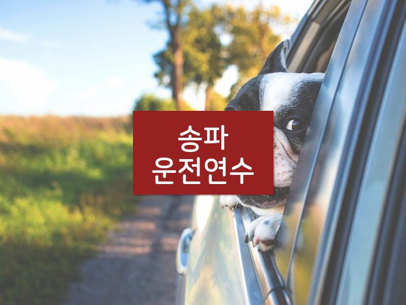 송파운전연수 후기