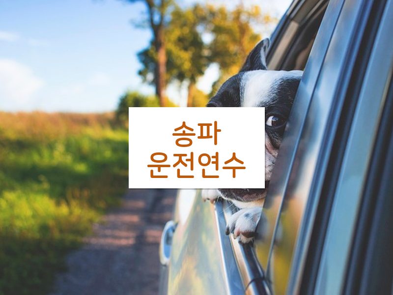 송파운전연수 후기