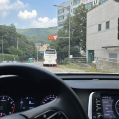 운전 배우는 건 운좋은 일