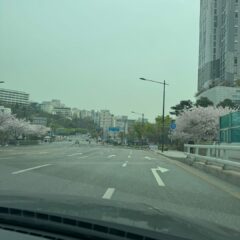 야간 운전 두려움