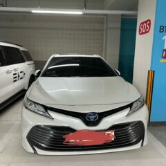 브레이크 페달 혼란