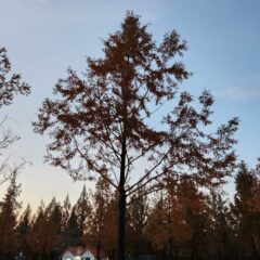 야간 운전, 무서웠어요