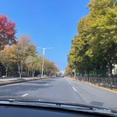 가족과 함께 운전하기